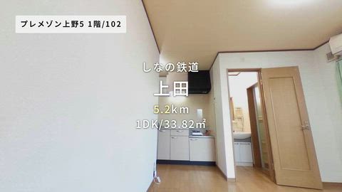 動画