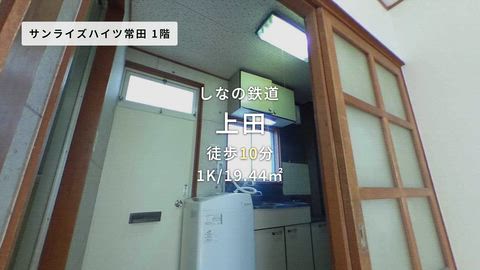 動画