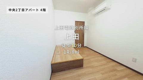 動画