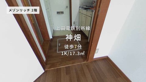 動画
