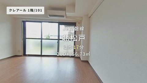 動画