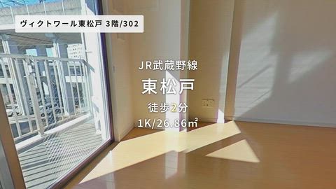 動画
