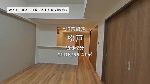 動画