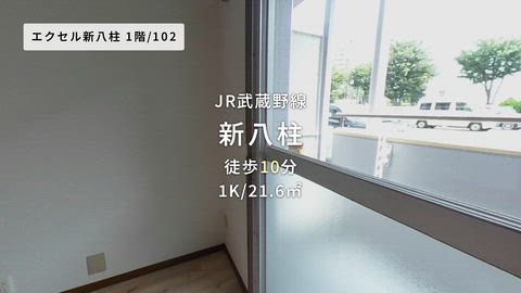 動画