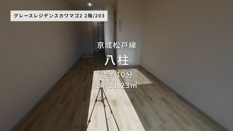 動画