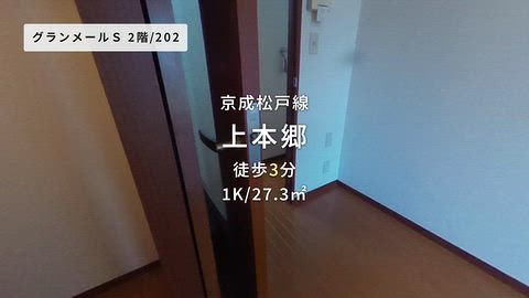 動画