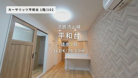 動画