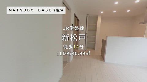 動画