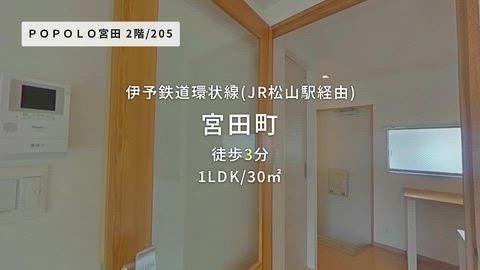 動画