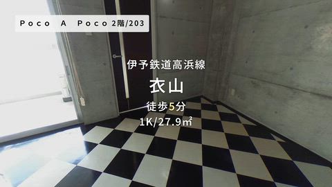 動画