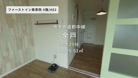 動画