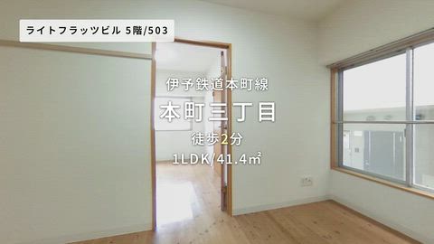 動画