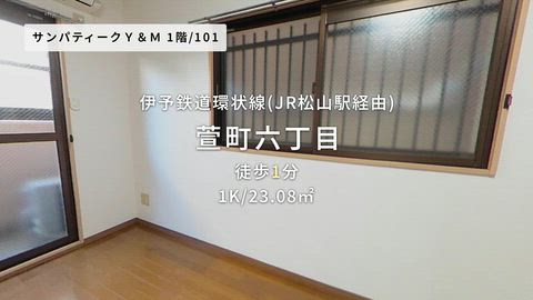 動画