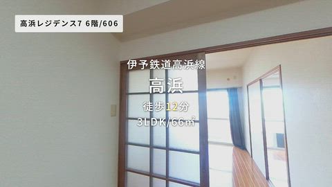動画