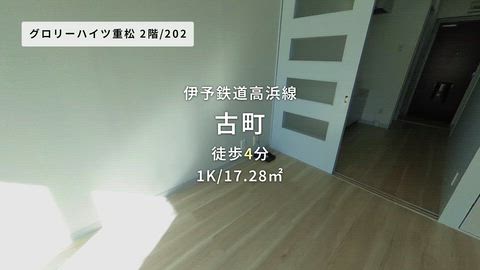動画