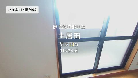 動画