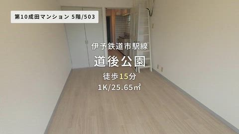 動画