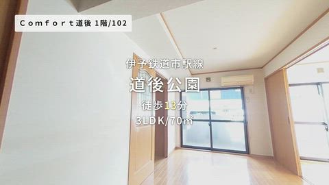 動画
