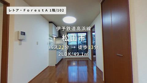 動画