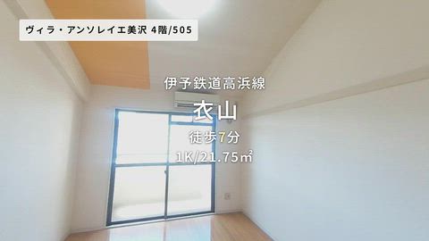 動画