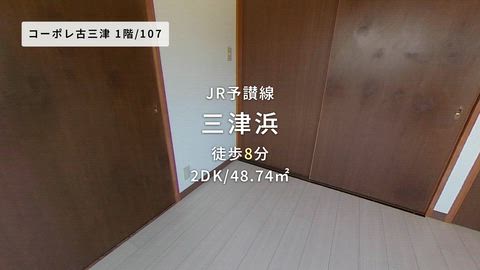 動画