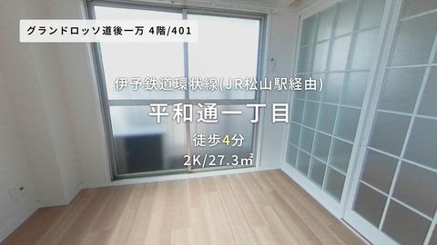 動画