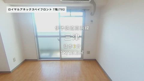 動画