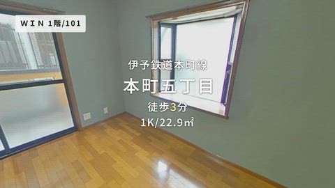 動画
