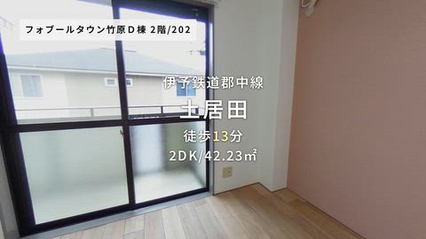 動画