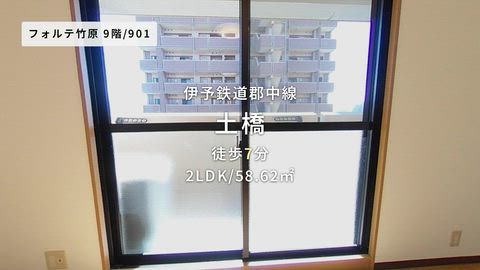 動画