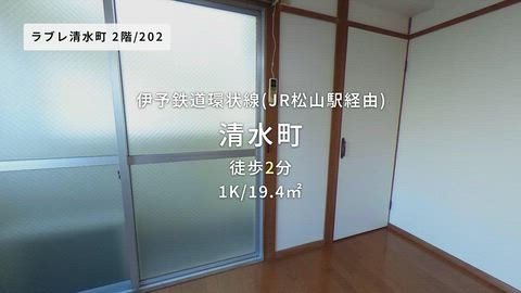 動画