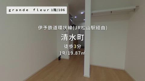 動画
