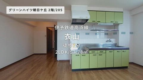 動画