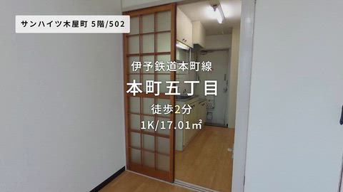 動画