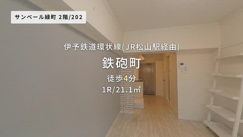 動画