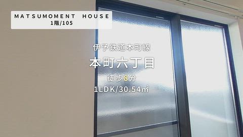 動画