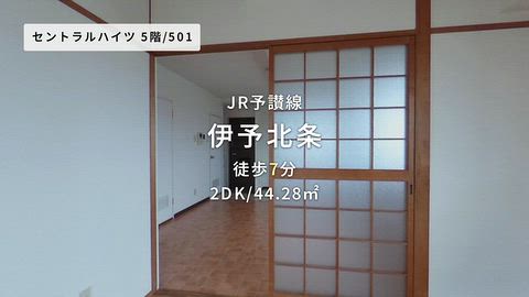 動画