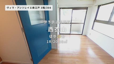 動画