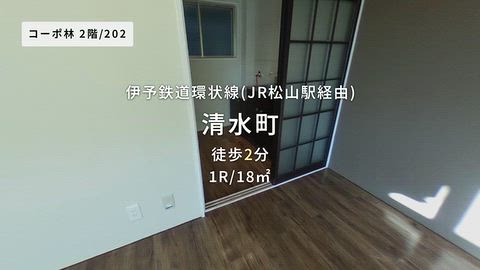 動画