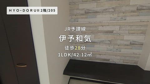 動画