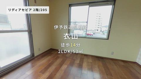 動画