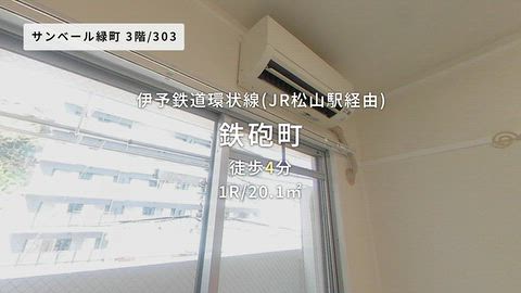 動画