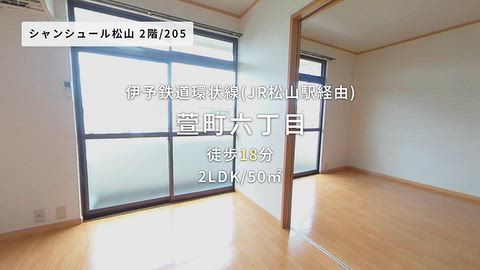動画