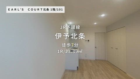 動画