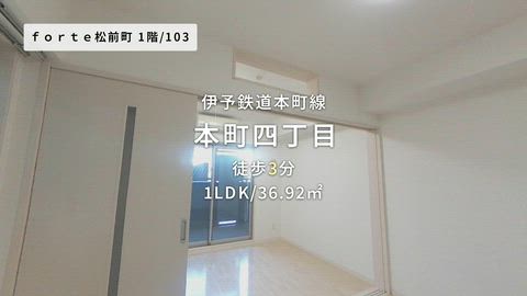 紹介ムービー