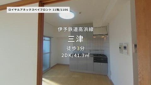 動画