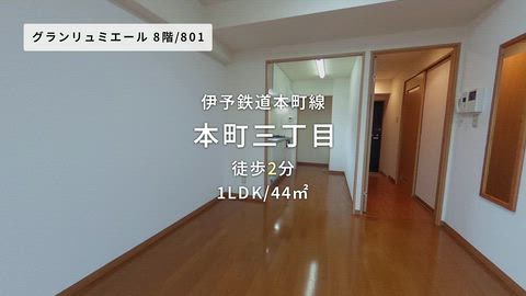 動画