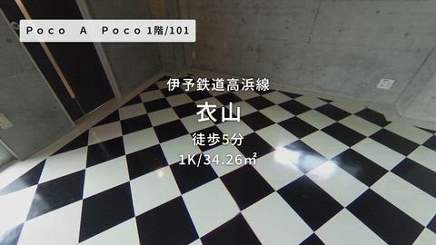 紹介ムービー