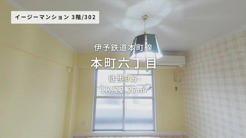 動画