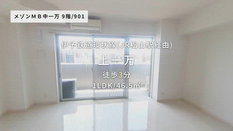 紹介ムービー